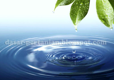  Air ialah sumber kehidupan bagi setiap mahluk hidup Inilah Pengaruh Kandungan Air Terhadap Kesuburan Tanaman